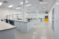 The Aries (D5), Factory #451856831